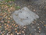 Friedlicher Nachbar 1