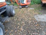 Friedlicher Nachbar 1