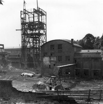 Friedlicher Nachbar 2