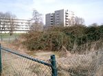 Mansfeld 3