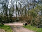 Mansfeld 7