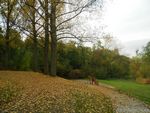 Ruhrtal III