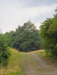 Neumühl Halde
