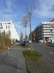 Graf Bismarck Hafen