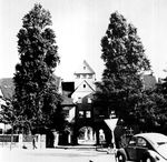 Schievenfeld