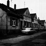 Zoosiedlung