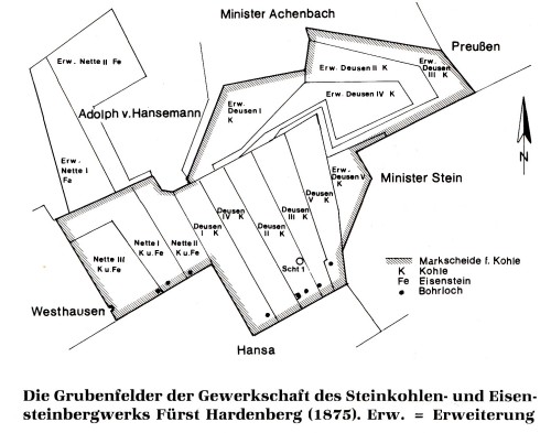 Feld