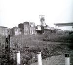 Carolinenglück